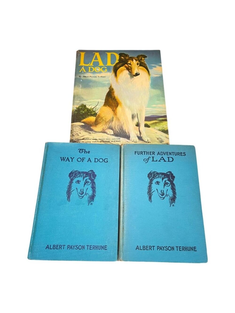 Lad the Dog Way Dog Further Adventures Lot 3 Books HC Albert Payson Terhue
